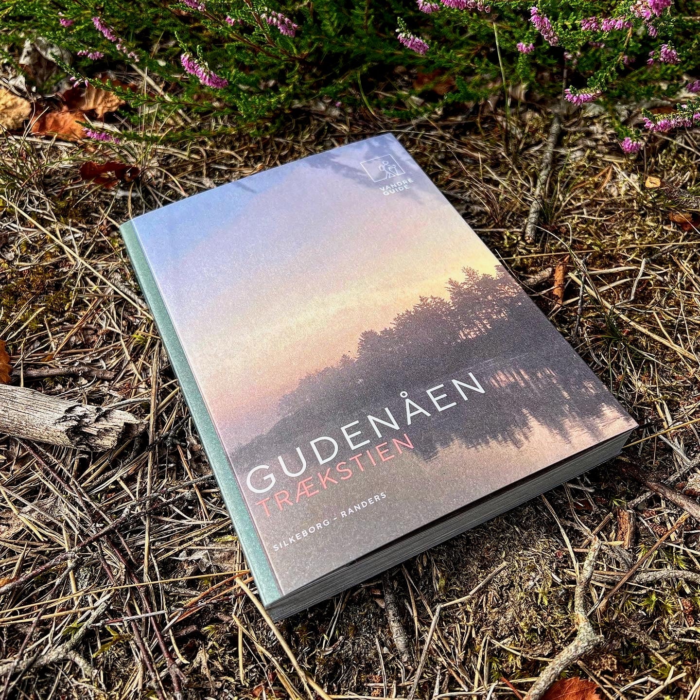 Vandreguide